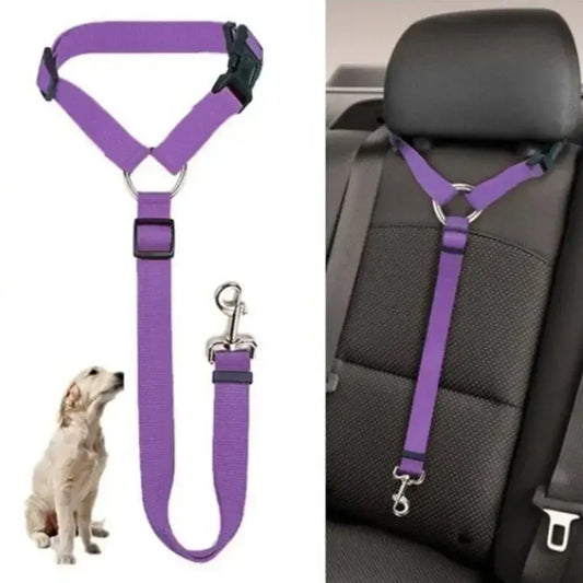 Safety and Style Pet Car Seat Belt & Harness 🚗🐾