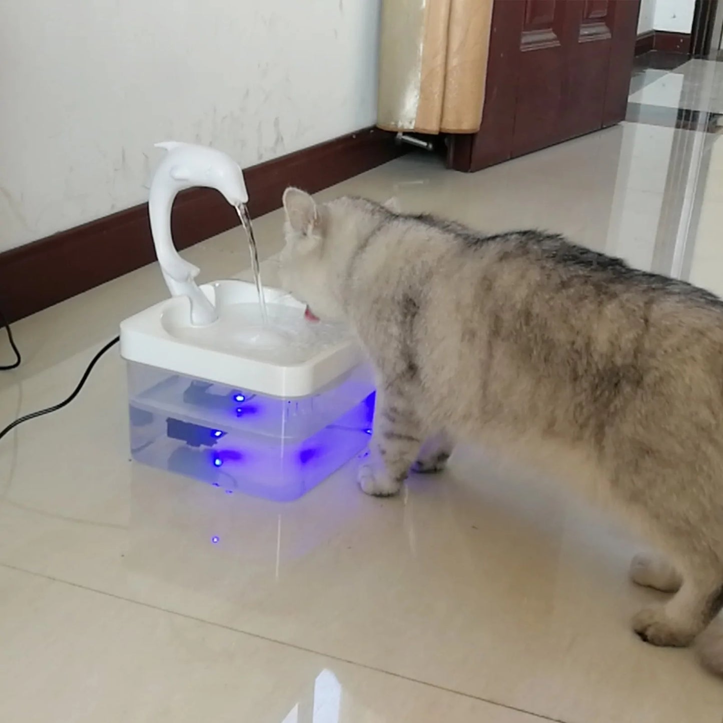 EverFlow Pet Water Dispenser 💧🐕