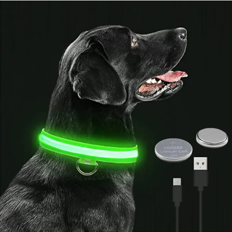 Led Glowing Adjustable Dog Collar 🐾🌟