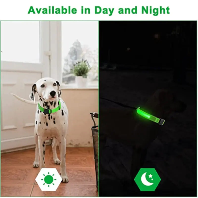 Led Glowing Adjustable Dog Collar 🐾🌟