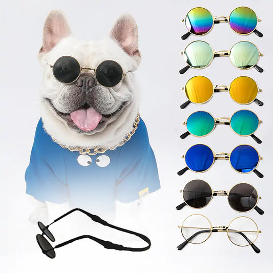 Protective Sunglasses for Pets 🕶️🐕